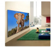 Телевизор LG 115QNED93B6A